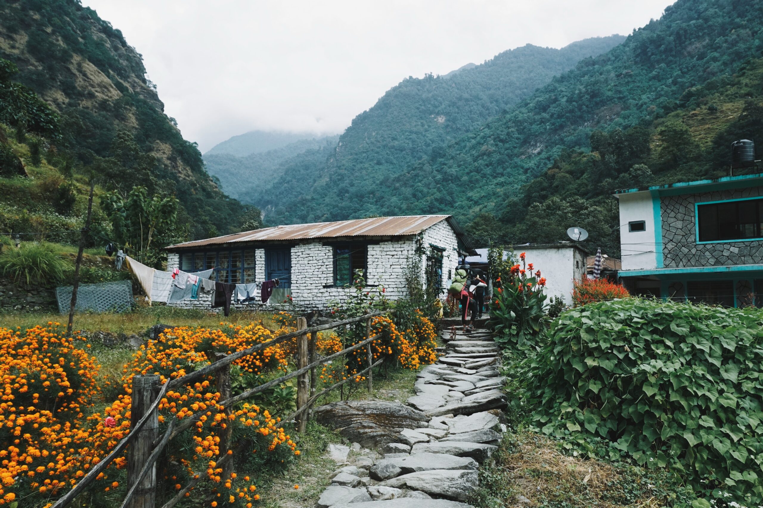 teahouse in nepal