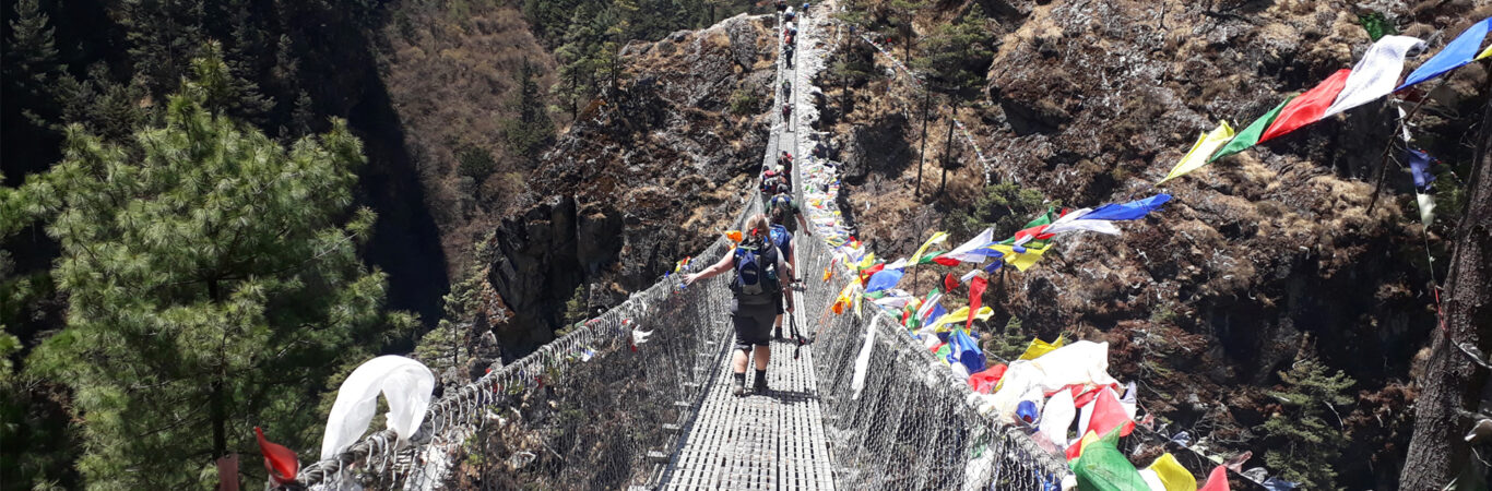 hillary suspension bridge