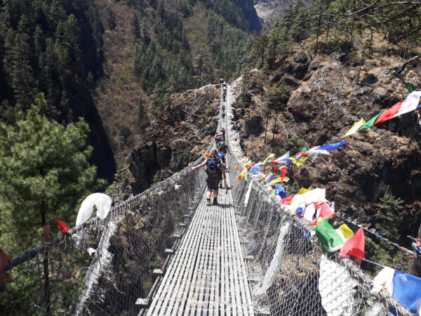 hillary suspension bridge