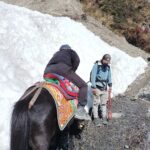 Horse Riding in Annapurna